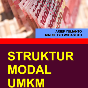 STRUKTUR MODAL UMKM